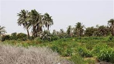 طشان جزيرة طبيعية خلابة في البحرين