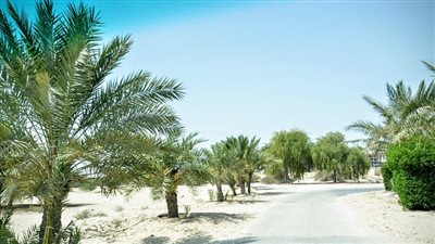 منطقة الصخير وجهة سياحية تاريخية وطبيعية في البحرين