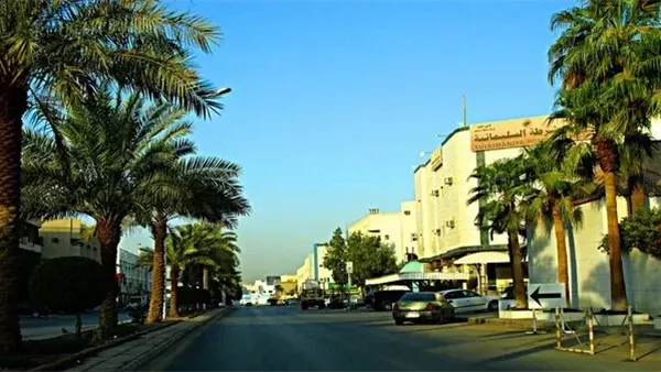 موقع أيام نيوز