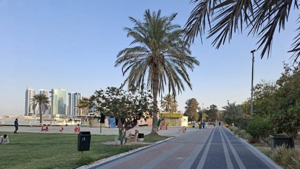 موقع أيام نيوز