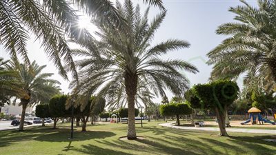 حي النخيل وجهة سكنية راقية في الرياض