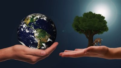 كل ما تريد معرفتة عن الغلاف الحيوي