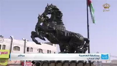 كل ما تريد معرفتة عن لواء سحاب