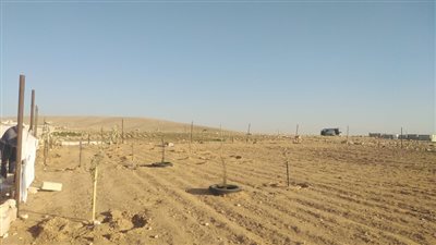 منطقة المطبة : قلب عمان النابض