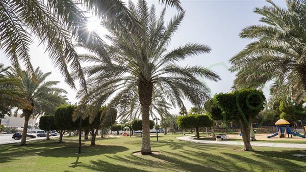 موقع أيام نيوز