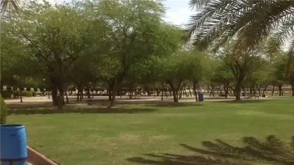 موقع أيام نيوز