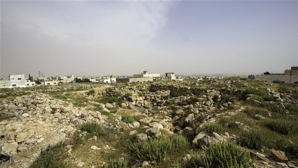 موقع أيام نيوز