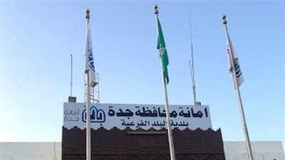 بلدية البلد الفرعية