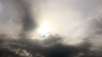 بلدية الجنوب الفرعية