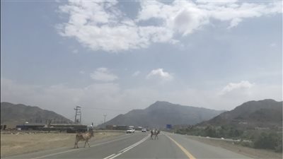 حارة الصوالحة حي شعبي في جدة