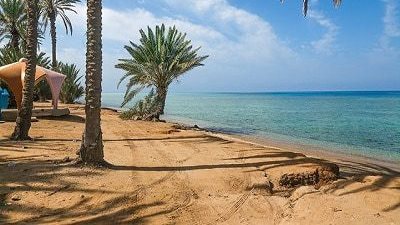 حقائق يجب معرفتها قبل زيارة جزيرة ماوي 
