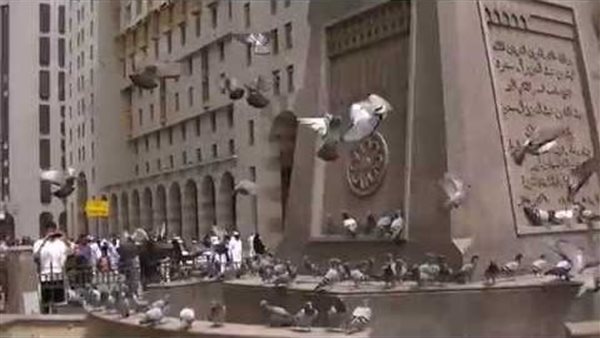 موقع أيام نيوز