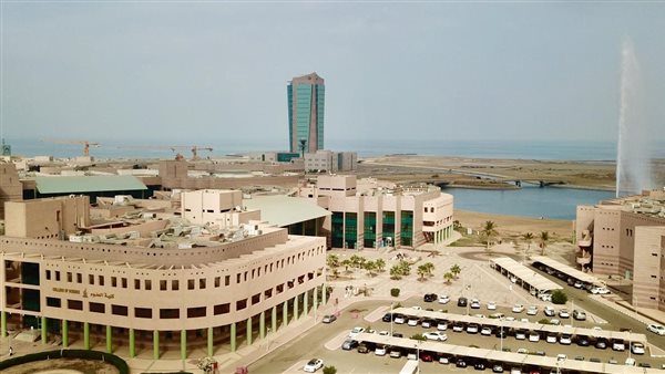 موقع أيام نيوز