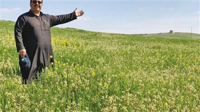 منطقة المناخر في عمان : وجهة سياحية وتاريخية غنية بالتراث