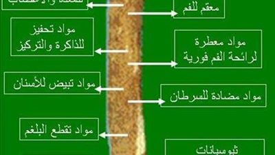 الطريقة الصحيحة لاستخدام السواك