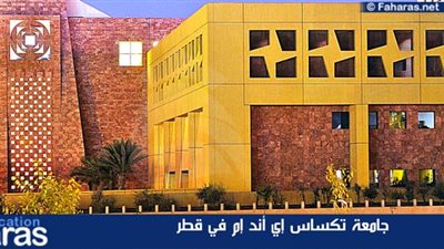 كل ما تريد معرفته عن جامعة تكساس أي أند إم في قطر