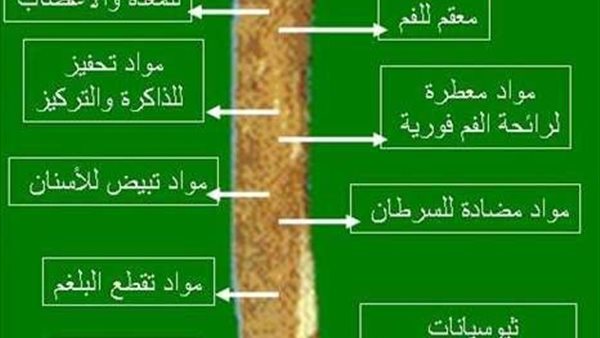 موقع أيام نيوز