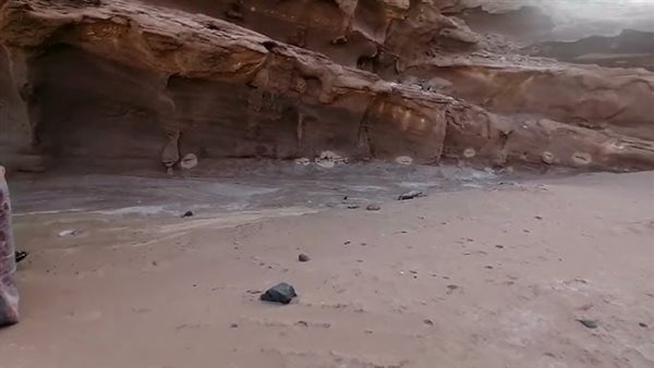 موقع أيام نيوز