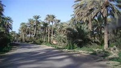 ناحية جديدة الشط ناحية زراعية في ديالى