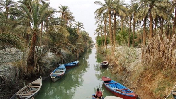موقع أيام نيوز