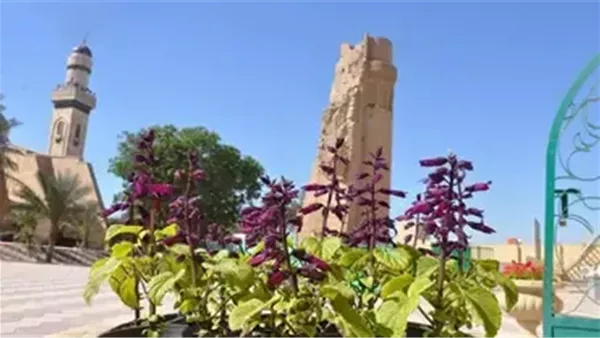 موقع أيام نيوز