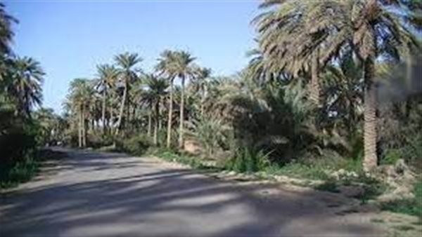 موقع أيام نيوز