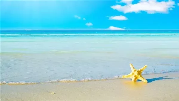 موقع أيام نيوز
