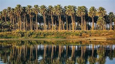 قضاء كربلاء مدينة الإمام الحسين