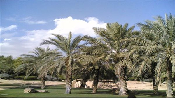 موقع أيام نيوز