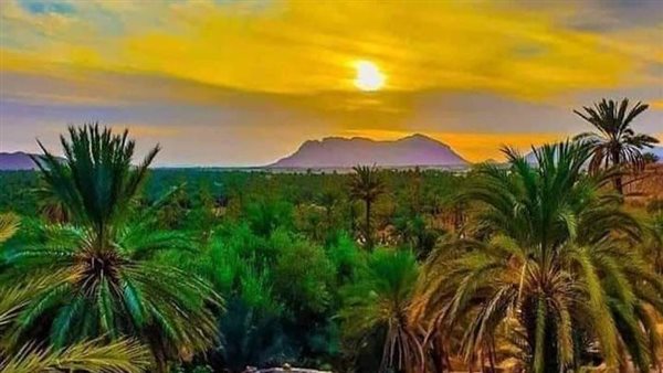 موقع أيام نيوز
