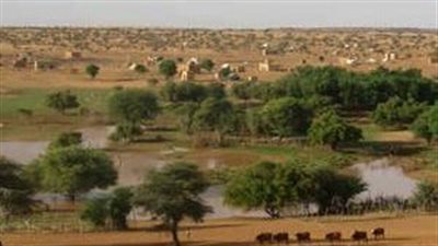 ولاية كيدي ماكا أرض المراعي الشاسعة