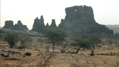 ولاية الحوض الغربي أرض المراعي
