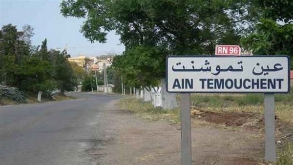 موقع أيام نيوز