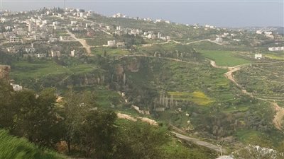 المنشية في لواء ناعور : قرية هادئة ذات طابع ريفي