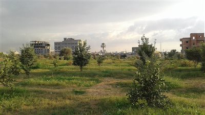 مدينة عين زارة الجنوبي القلب النابض لمدينة عين زارة