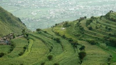 محافظة إب عروس اليمن الخضراء