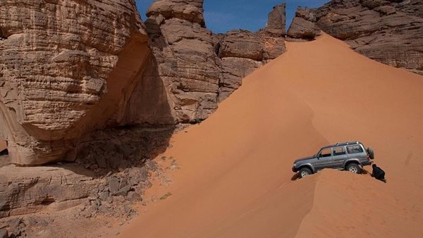 موقع أيام نيوز