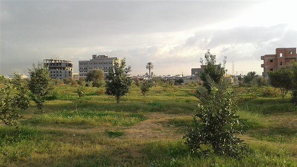 موقع أيام نيوز