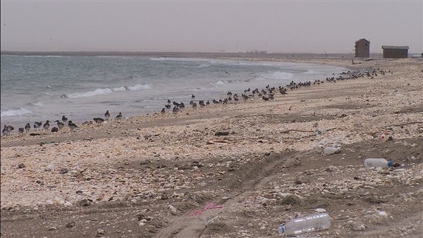 موقع أيام نيوز