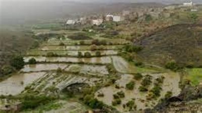 مديرية الصومعة جوهرة البيضاء