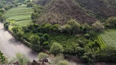 مديرية الطفة بوابة البيضاء الشرقية