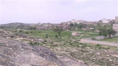 مديرية السوادية أرض القبائل والتاريخ