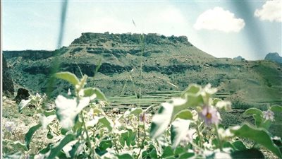 مديرية الرياشية درة البيضاء