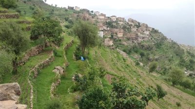 مديرية وصاب العالي أرض الجمال الطبيعي والتاريخ العريق