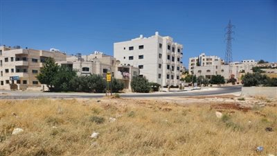 أم السماق : قرية بدوية عريقة في لواء ناعور