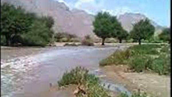 موقع أيام نيوز