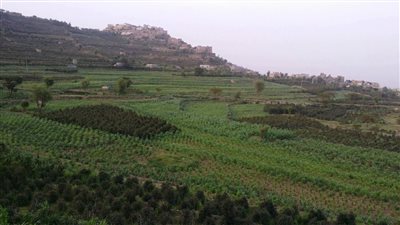 مديرية مبين أرض الجمال الطبيعي والتاريخ المجيد