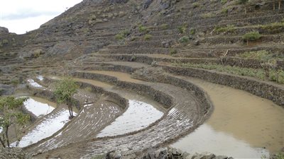 مديرية الجبين أرض الحصون والتاريخ