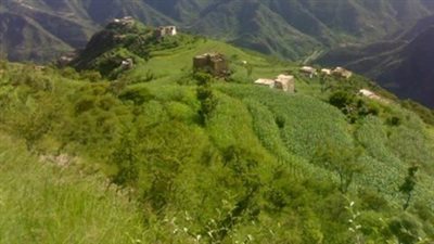 مديرية مزهر أرض الطبيعة الساحرة