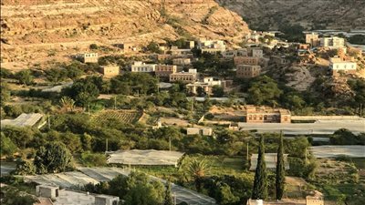 مديرية جبن أرض اللوز